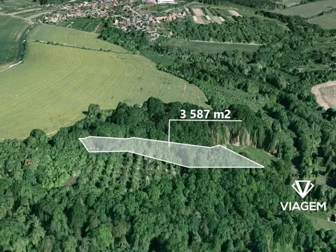 Prodej podílu lesa, Lhota, 275 m2