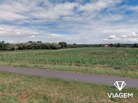 Prodej pozemku pro bydlení, Víceměřice, 4978 m2