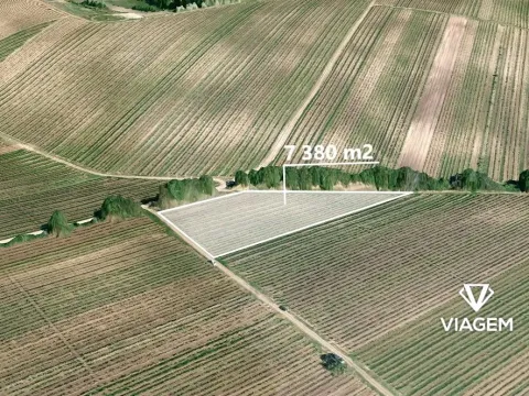 Prodej podílu pole, Velké Bílovice, 922 m2