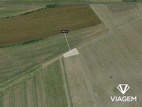 Prodej podílu pole, Straky, 720 m2