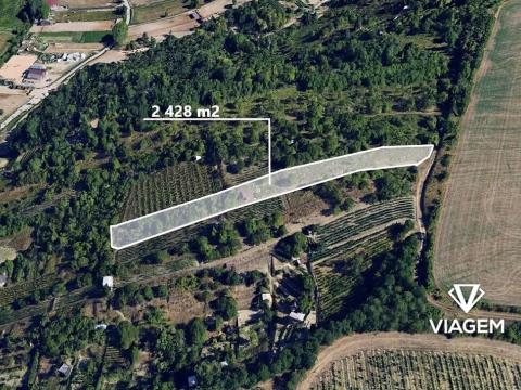 Prodej podílu zahrady, Hustopeče, 809 m2