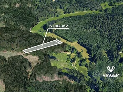 Prodej podílu lesa, Baliny, 3334 m2