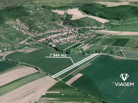 Prodej pole, Prakšice, 7944 m2