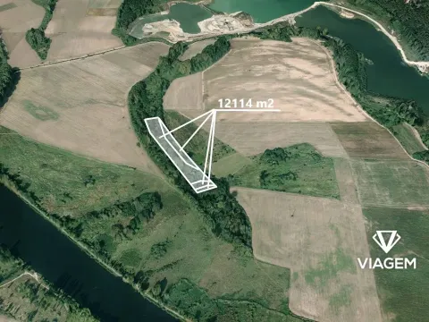 Prodej podílu lesa, Záryby, 1009 m2