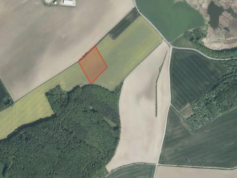 Prodej pole, Střížovice, 29324 m2