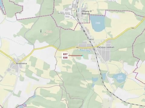 Dražba lesa, Pačejov, 999 m2