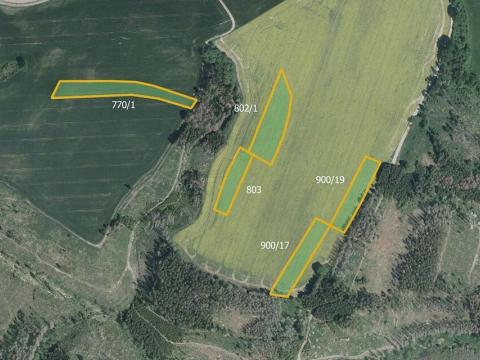 Prodej pole, Hořice, 58969 m2