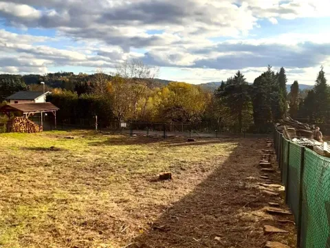 Prodej pozemku pro bydlení, Zásada, 1039 m2