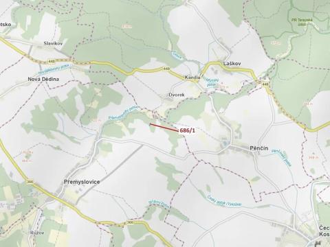 Dražba lesa, Přemyslovice, 1280 m2