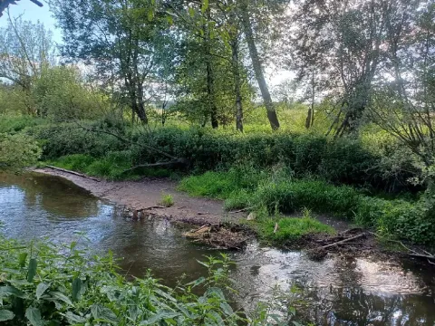 Dražba pozemku, Mimoň, 11189 m2