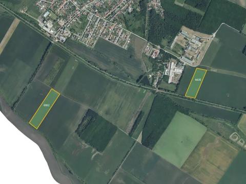 Prodej pole, Březí, 68733 m2