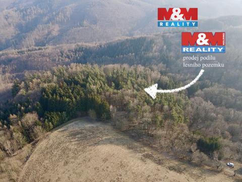 Prodej lesa, Městečko Trnávka - Stará Roveň, 81768 m2