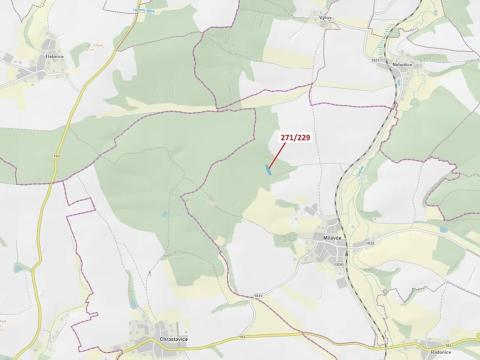 Dražba lesa, Milavče, 3695 m2