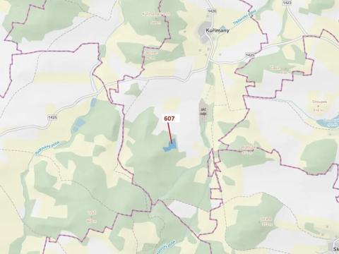 Dražba lesa, Kuřimany, 10437 m2