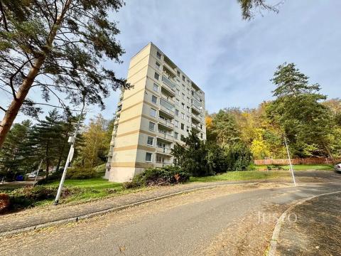 Prodej bytu 1+kk, Ústí nad Labem, Vinařská, 31 m2