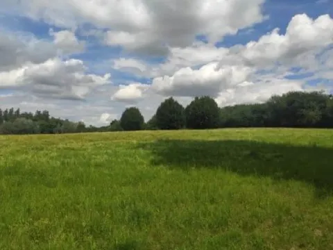 Dražba pozemku, Jihlava, 381291 m2