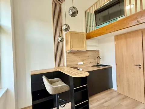 Pronájem bytu 1+kk, Praha - Nové Město, Sokolská, 17 m2