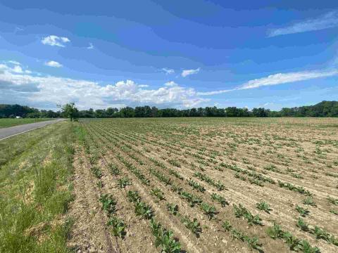 Prodej pozemku, Dolní Životice, 1696 m2