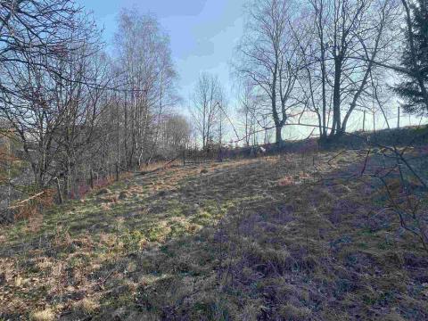 Prodej zahrady, Horní Stropnice, 2062 m2