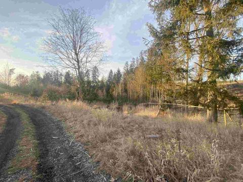 Prodej pozemku, Kočov, 5268 m2