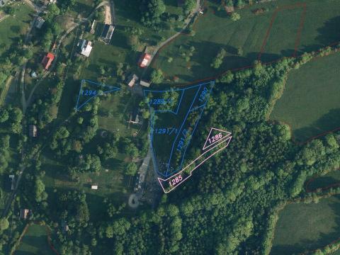 Prodej pozemku, Zlatá Olešnice, 733 m2