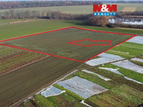 Prodej pole, Nové Dvory, 9979 m2