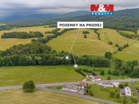 Prodej louky, Dětřichov, 4178 m2