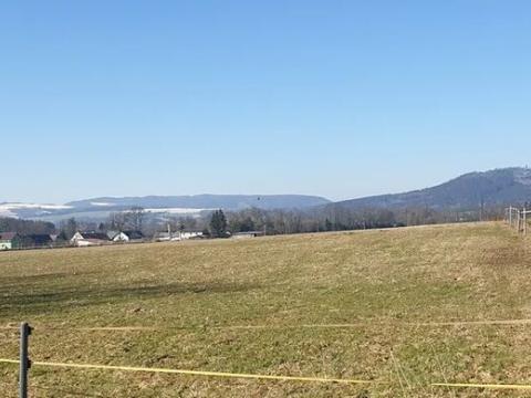 Prodej louky, Police nad Metují, 8001 m2