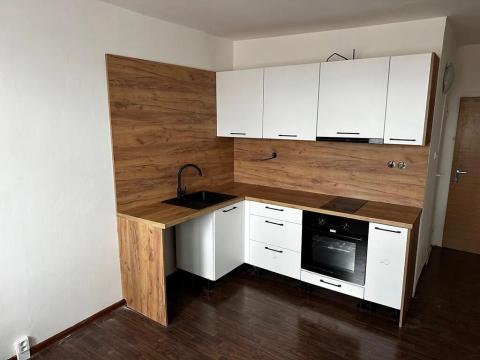 Pronájem bytu 1+1, Jirkov, Krušnohorská, 33 m2