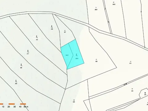 Prodej lesa, Vyskytná nad Jihlavou, 1283 m2