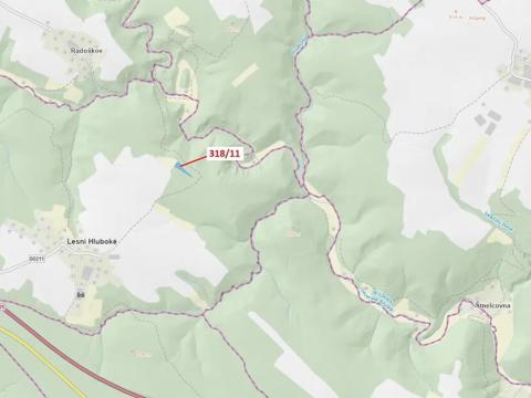 Dražba lesa, Lesní Hluboké, 3838 m2