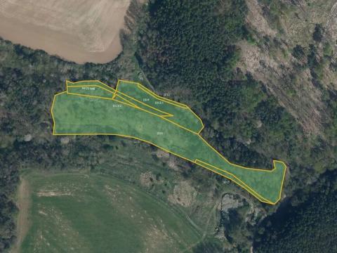 Prodej louky, Štětí, 16044 m2