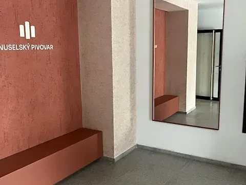 Pronájem bytu 2+kk, Praha - Nusle, Muzikova, 51 m2