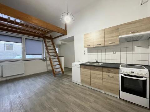 Pronájem bytu 1+kk, Liberec, Rumjancevova, 25 m2
