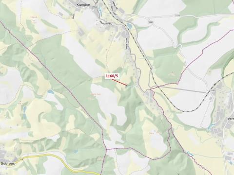 Dražba lesa, Letohrad, 282 m2