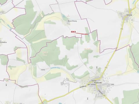 Dražba lesa, Koloveč, 703 m2