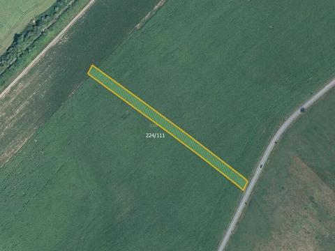 Prodej pole, Skoronice, 5446 m2