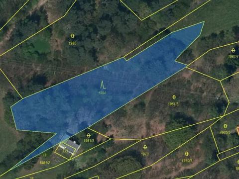 Prodej lesa, Mrákotín, 2434 m2