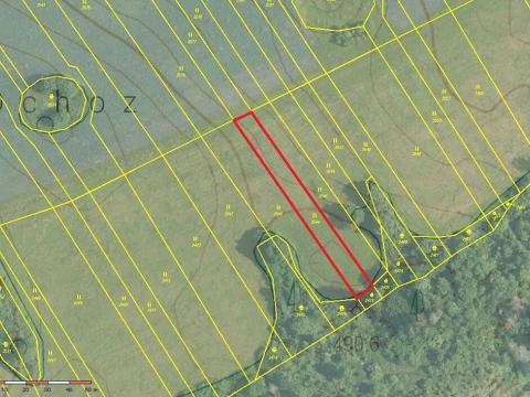 Prodej pole, Ostrov u Macochy, 3556 m2