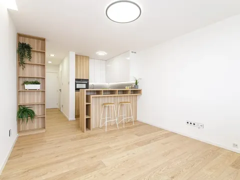 Pronájem bytu 1+kk, Ostrava, Gen. Janouška, 27 m2