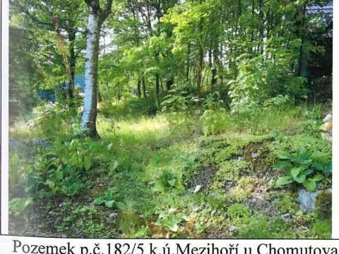 Prodej lesa, Blatno, 1106 m2