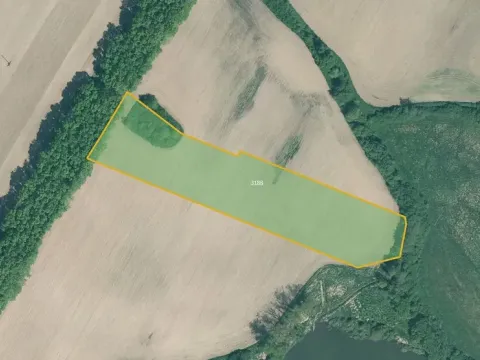 Prodej pole, Chrášťovice, 11533 m2