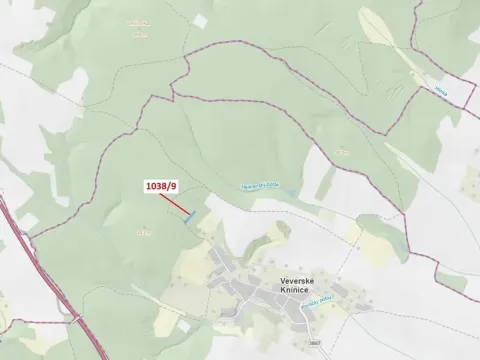 Dražba lesa, Veverské Knínice, 2213 m2