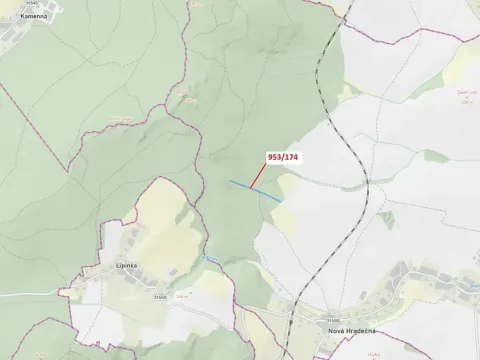 Dražba lesa, Nová Hradečná, 6275 m2