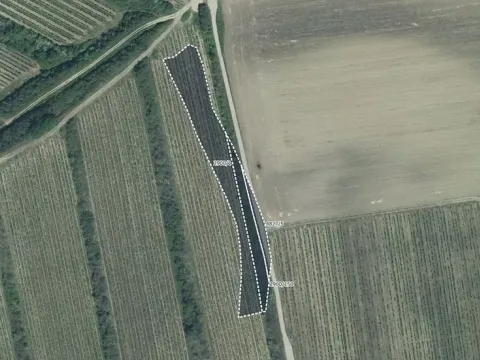 Prodej sadu/vinice, Čejkovice, 3575 m2