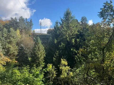 Prodej lesa, Strážiště, 2266 m2