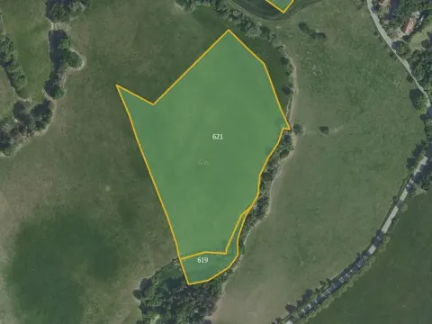 Prodej louky, Krňany, 51746 m2