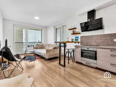 Prodej bytu 2+kk, Praha - Stodůlky, Medunova, 50 m2