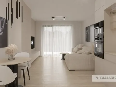 Prodej bytu 1+kk, Brno, 24 m2