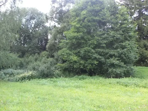 Dražba louky, Pěčín, 5224 m2